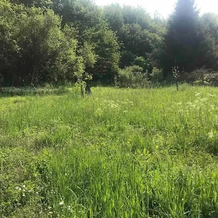 In Niederehe Near The Forest 아파트