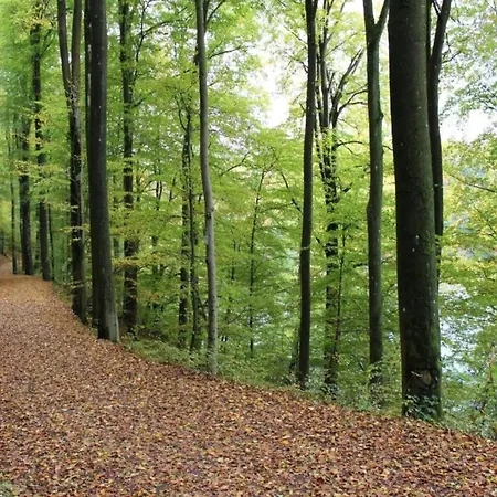 In Niederehe Near The Forest 아파트 *