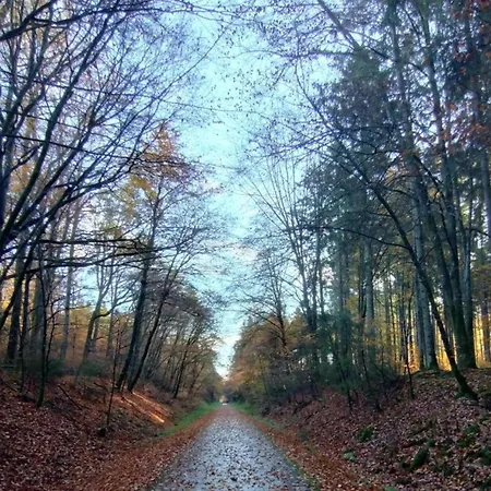 Niederehe Lakeside Escape 公寓 Üxheim