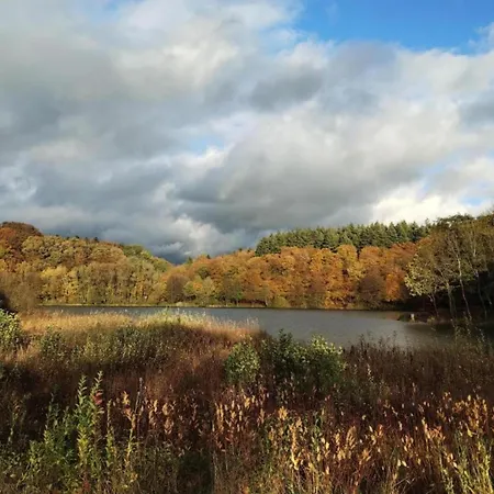 Niederehe Lakeside Escape * Üxheim