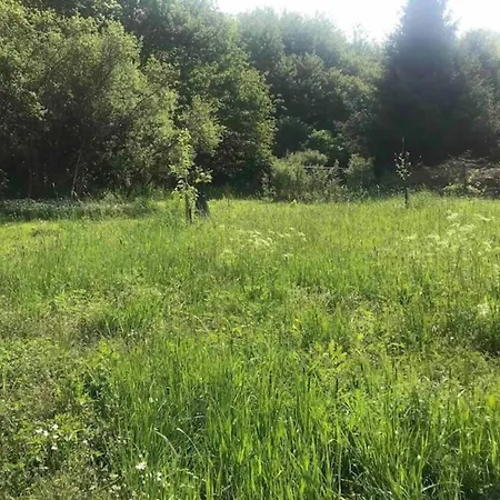 Niederehe Lakeside Escape *