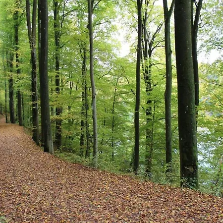 Niederehe Lakeside Escape