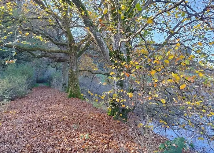 Niederehe Lakeside Escape *