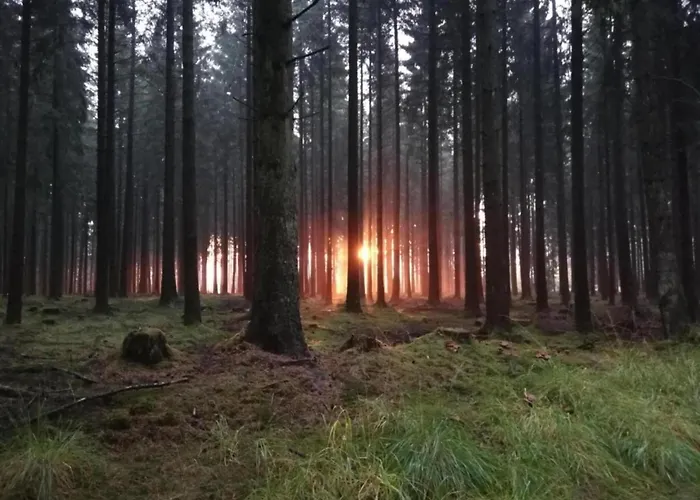 Daire Niederehe Lakeside Escape