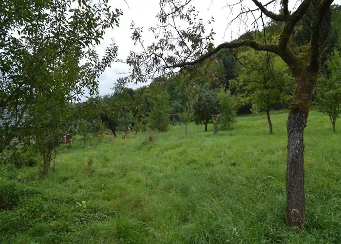 Daire Niederehe Lakeside Escape *