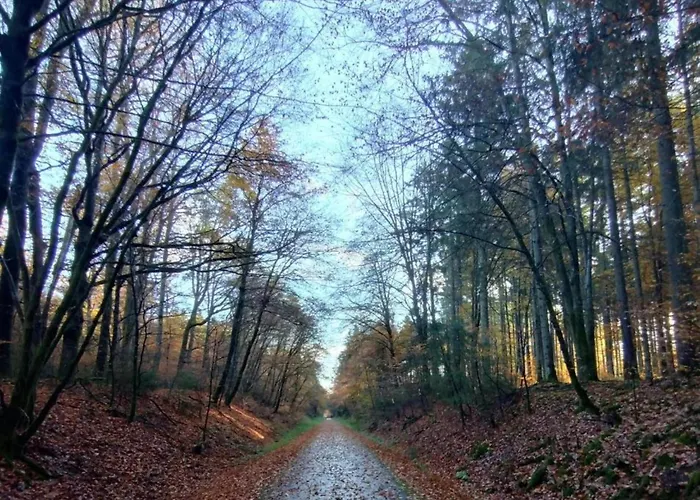 Niederehe Lakeside Escape Daire Üxheim